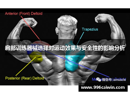 肩部训练器械选择对运动效果与安全性的影响分析